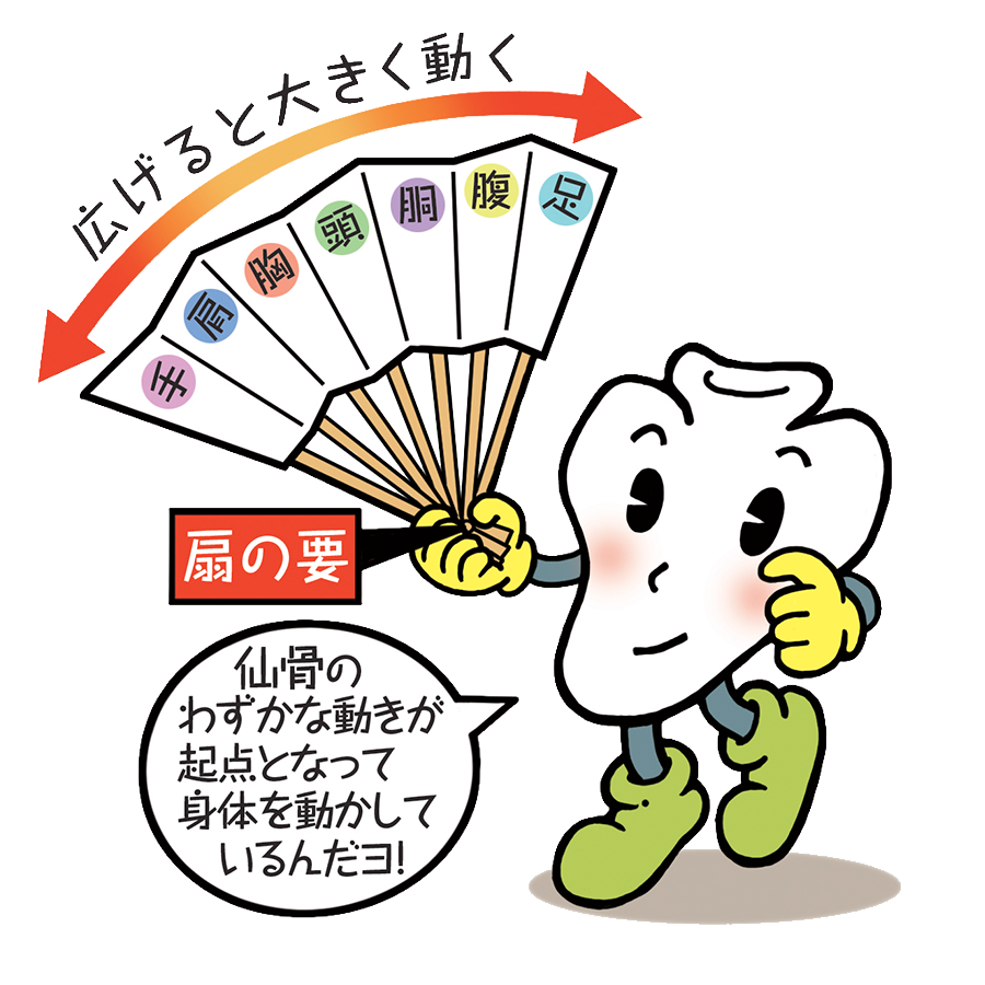 仙骨は身体の要